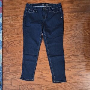 Blue Desire Women's Plus 14W Dark Blue Skinny Jeans